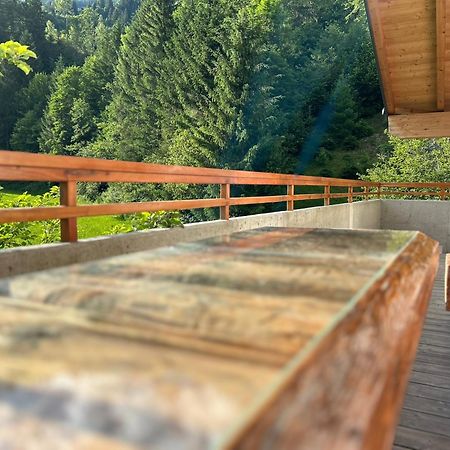 Bergblick Apartment Валд им Пинцгау Екстериор снимка