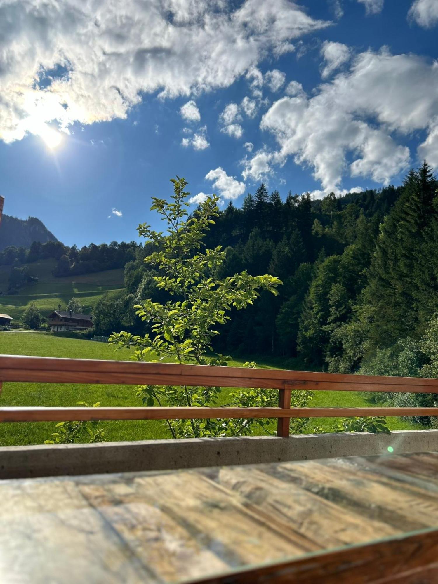 Bergblick Apartment Валд им Пинцгау Екстериор снимка